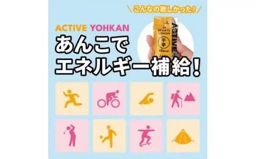 ACTIVE YOHKAN(小豆/干芋)_菓子・スイーツ 羊羹  ようかん ヨウカン_【1403779】