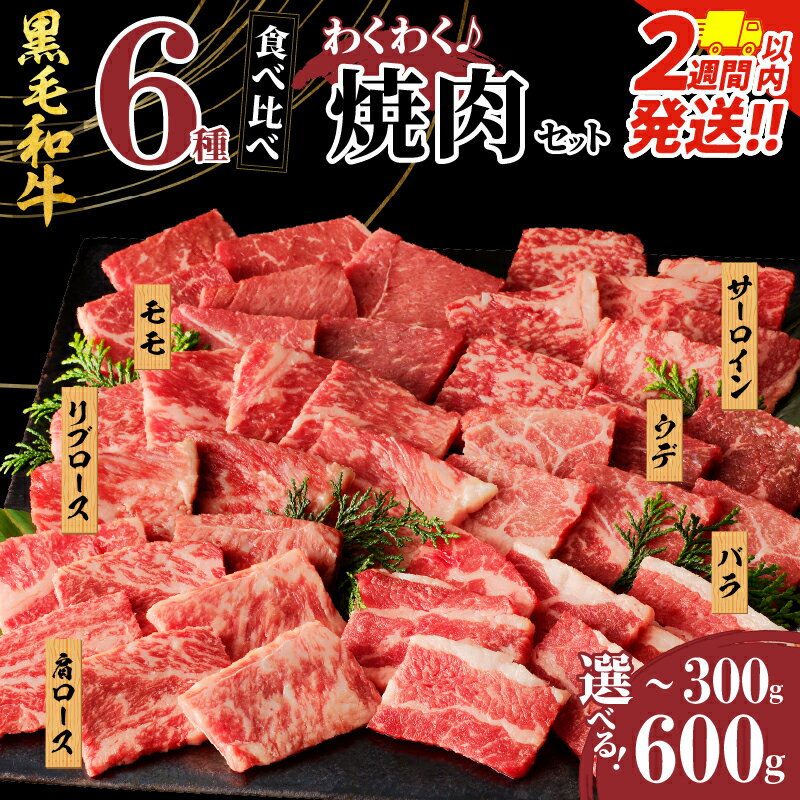 【ふるさと納税】★生産者応援★【2週間以内・発送月が選べる】訳あり 黒毛和牛 6種 焼肉 セット 300g 600g 肉 牛 牛肉 サーロイン 赤身 食べ比べ 牛丼 経産牛 BBQ ギフト 贈り物 詰め合わせ おかず おつまみ 冷凍 ミヤチク 宮崎県 都農町 送料無料 レビューキャンペーン