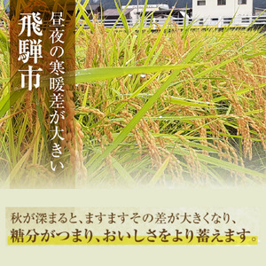 令和6年産 飛騨産 コシヒカリ 600g お試しサイズ こしひかり 米 お米 精米 新米 白米 精白米 小分け 便利 新鮮 清水農園 メール便発送[Q2727]