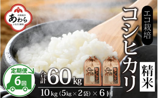 【先行予約】【令和6年産】《定期便6回》エコ栽培コシヒカリ 白米10kg（5kg×2袋）計60kg ／ 鮮度抜群 福井県産 こしひかり ご飯 新鮮 白米 新米 ※2024年10月上旬より準備出来次第発送