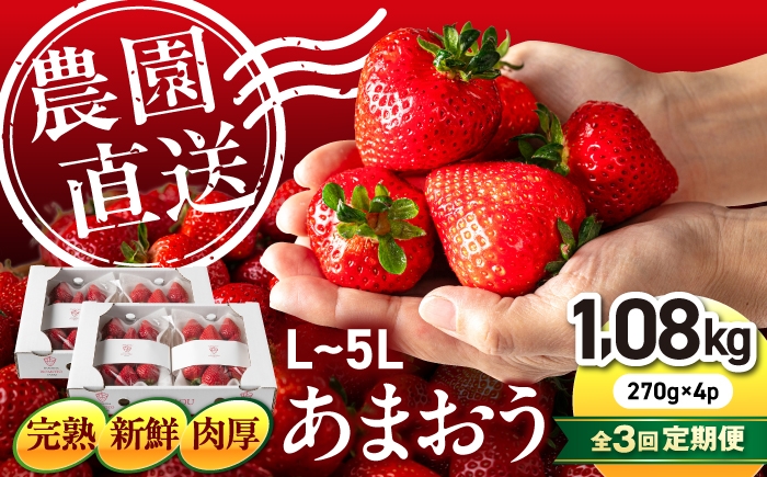 
                  【月1回・全3回定期便】糸島 あまおう 270g×4パック 【2027年1月～順次発送】 (A品B品含むL～5L) 糸島市 / 磯本農園 / TANNAL イチゴ/いちご [ATB011] ランキング 上位 人気 おすすめ
                
