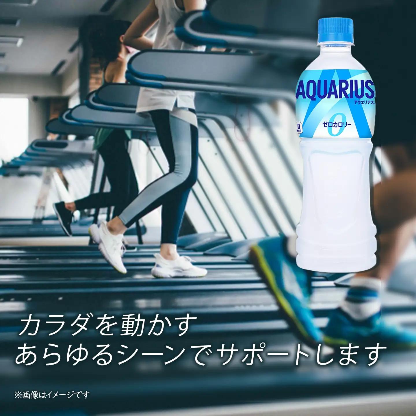 アクエリアスゼロ 500mlPET_24本入り×1ケース｜ スポーツドリンク 水分補給 熱中症対策 アクエリ