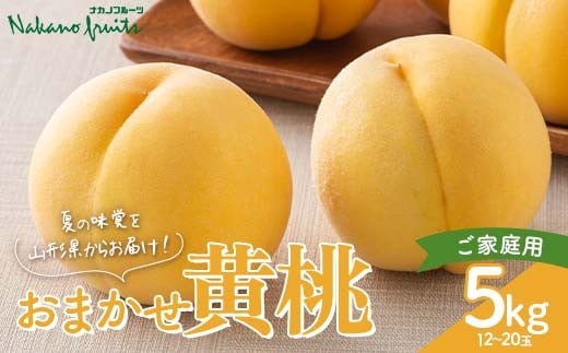 
            【仲野観光果樹園】≪2025年先行予約≫ご家庭用 山形県産 おまかせ 黄桃 約5kg(12～20玉)  2025年8月上旬から順次発送 F2Y-6117
          