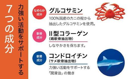 ＜定期便全6回＞グルコサミン＆コンドロイチン（28313）【006-a106】