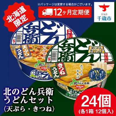 ふるさと納税 千歳市 【定期便12カ月】日清 北のどん兵衛 うどんセット＜天ぷら・きつね＞各1箱・合計2箱
