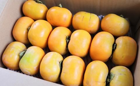 食の都庄内　庄内柿（元祖種無し渋抜き）約4kg（2kg×2箱）※10月中下旬～11月下旬配送 [HS4-031(庄内旬青果)]