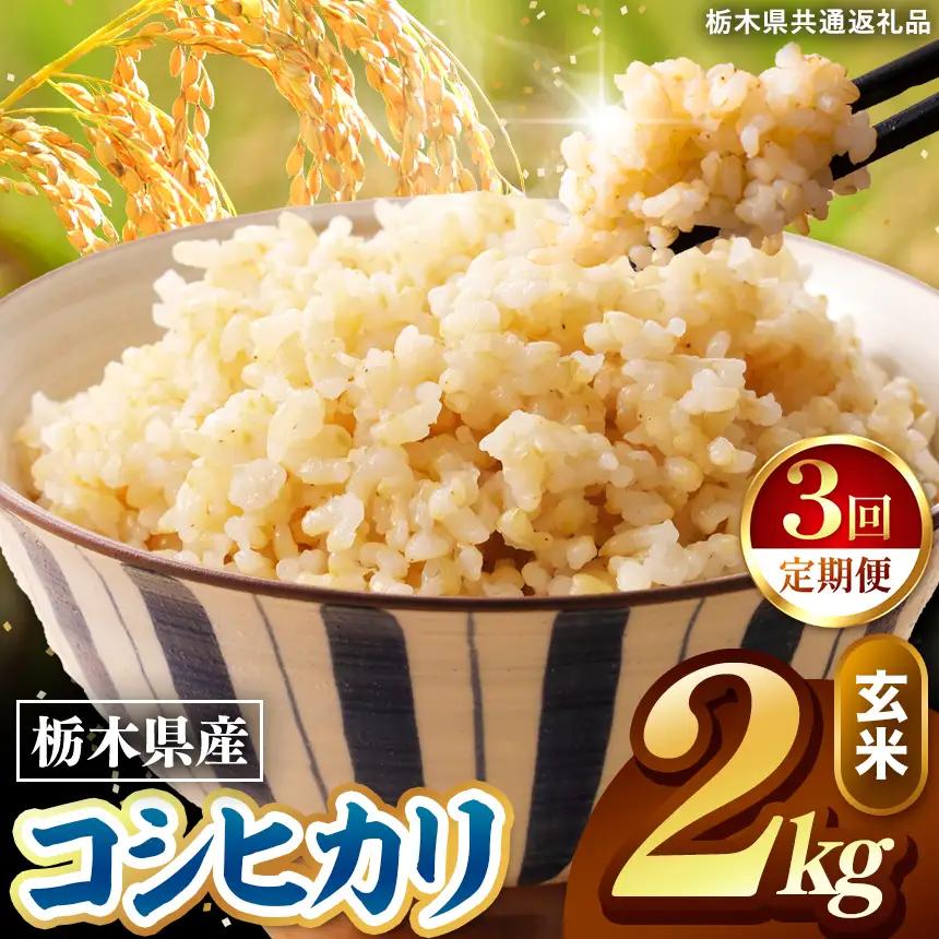 令和8年度産 先行予約 【定期便3回】こしひかり 玄米 約2kg