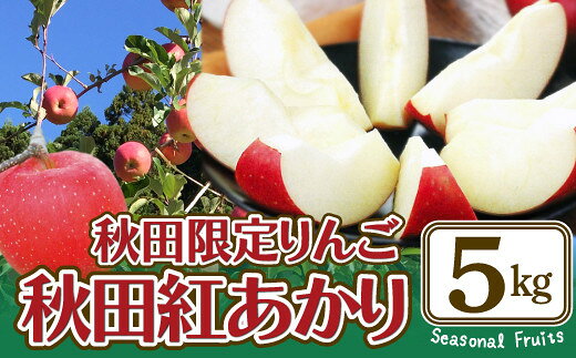 【ふるさと納税】【先行予約】【数量限定・期間限定】陽気な母さん 秋田限定りんご「秋田紅あかり」 5kg 【105P3401】 リンゴ 林檎 詰合せ セット 季節 数量限定 大館市 秋田県 ギフト フルーツ 果物【陽気な母さんの店(株)】