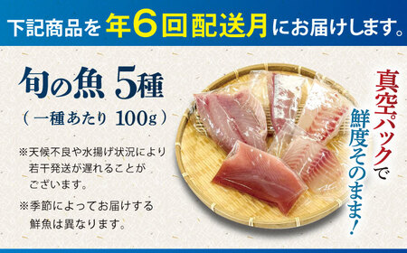 【全６回定期便】【五島の旬】下処理済み 超速冷凍 鮮魚 5種 柵 セット 旬 魚 冷凍 真空 刺身 五島市 / 金沢鮮魚[PEP020]