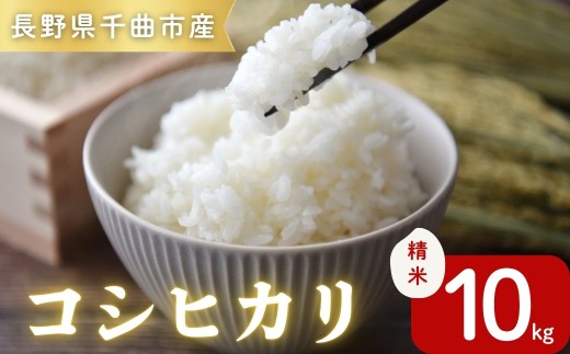 令和7年産コシヒカリ精米10kg｜ コシヒカリ ご飯 米 白米 千曲市 長野県 信州