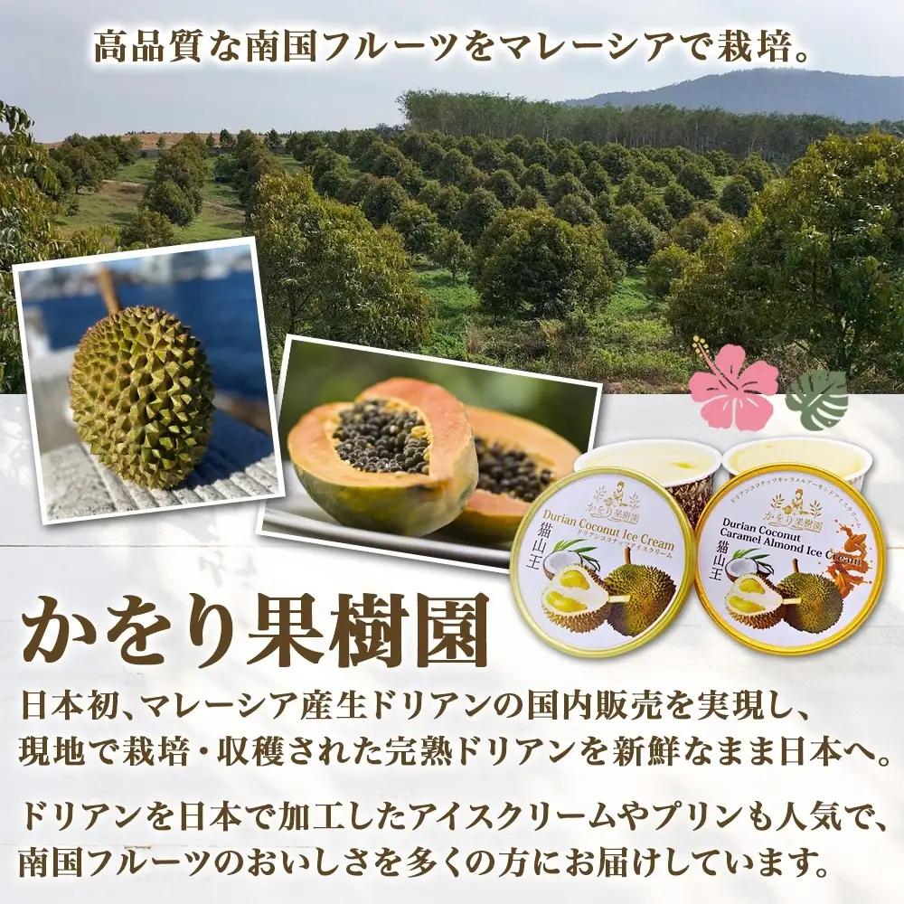 【予約受付】 ドリアン アイスクリーム 2種 計8個 ココナッツミルク キャラメル アーモンド アイスクリーム スイーツ かをり果樹園 静岡県 沼津市