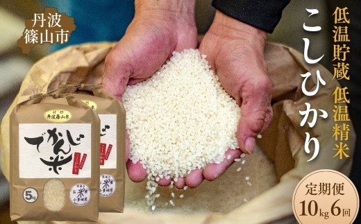 【定期便6回】令和7年産 丹波篠山市 コシヒカリ でかんしょ米 10kg×6回 低温貯蔵 香り豊か 旨み抜群 お米 こめ コメ 兵庫県