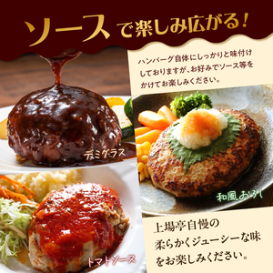 佐賀牛仕込みハンバーグ 8個 ／ ハンバーグ【A164】