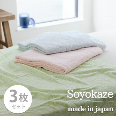 ふるさと納税 和泉市 【シングル3枚組】『軽やか』で洗濯しやすい綿100%タオルケット 140×190cm 5164-3P