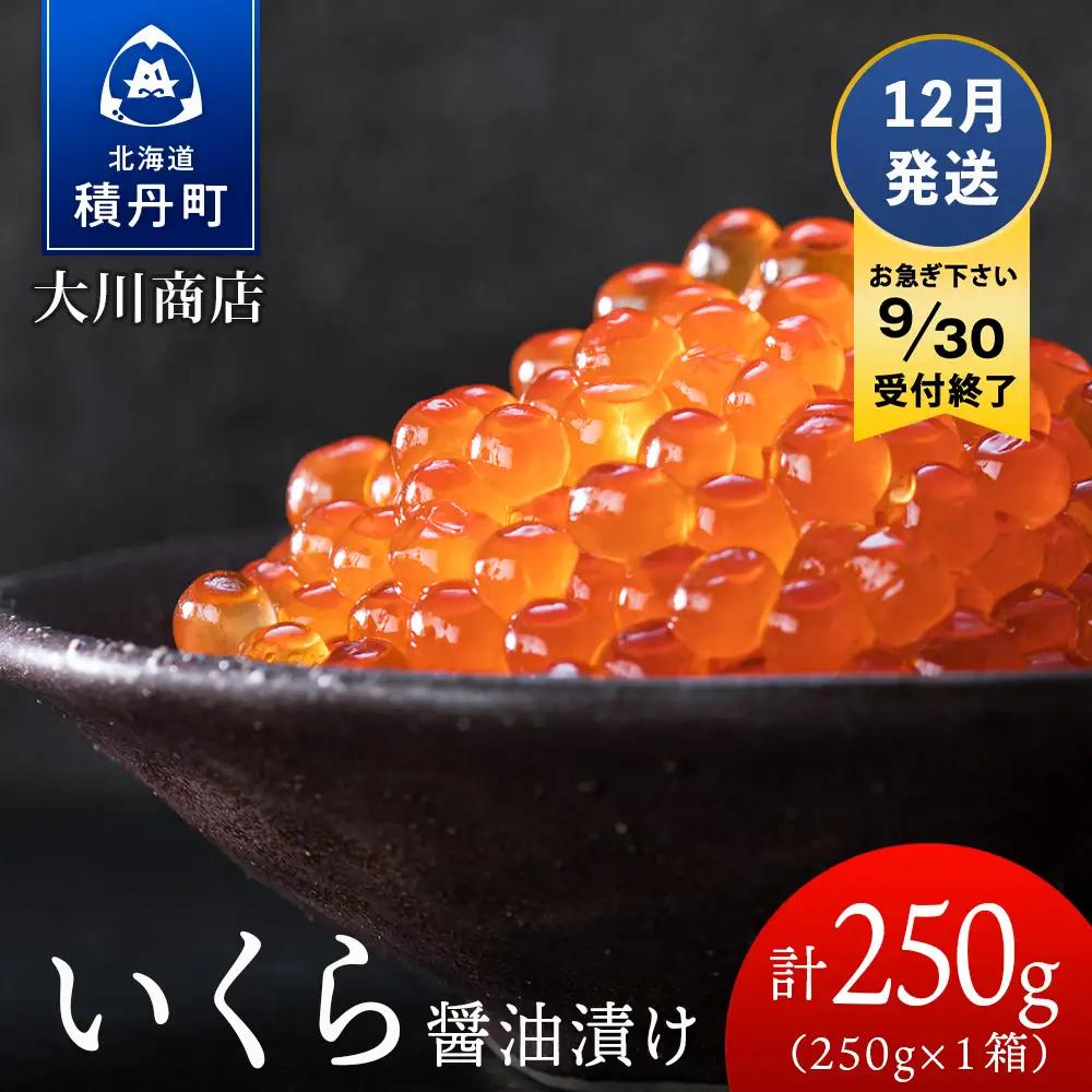 【9月30日受付終了】≪12月発送≫いくら醤油漬け250g1箱＜大川商店＞