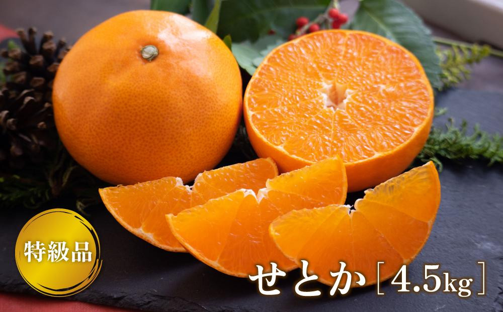 
                  特級品 せとか 4.5kg 【2027年2月上旬より発送】 | みかん 柑橘 果物 フルーツ せとか 愛媛三大高級柑橘 ( 紅まどんな 甘平 せとか ) のひとつ セトカ 果物 フルーツ くだもの みかん かんきつ 松山市 愛媛県 おすすめ人気
                