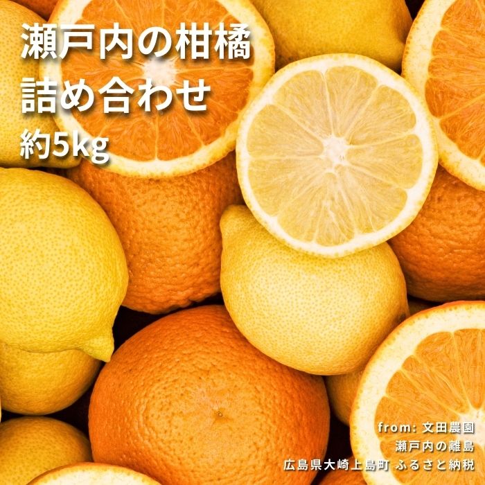 【ふるさと納税】[2~3月発送] 文田農園の柑橘詰め合わせ 約5kg 7~8種 瀬戸内 広島 大崎上島 離島 柑橘 レモン 檸檬 せとか 八朔 はっさく 大橘 ブラッドオレンジ 果物 フルーツ 贈答用 ギフト 送料無料 産地直送