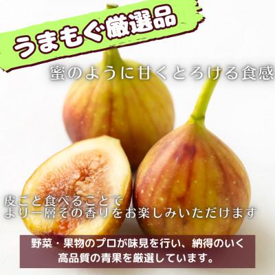 ふるさと納税 北九州市 福岡県産 とよみつ姫 約1.2kg (約300g×4パック入り)【2025年9下旬〜10月末発送】 |  | 01