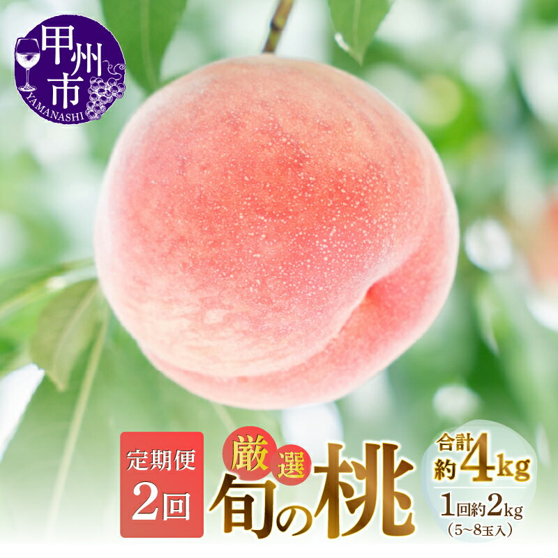 【ふるさと納税】 桃 定期便 約2kg×2回 5～8玉 厳選 旬 果物 くだもの フルーツ もも 果実 2025年発送 人気 新鮮 白鳳系 白桃系 甲州市 山梨 期間限定 数量限定 6月 7月 8月 発送 盛り合わせ 贈答 ギフト 家庭用 M's gift （MG） 【C-451】