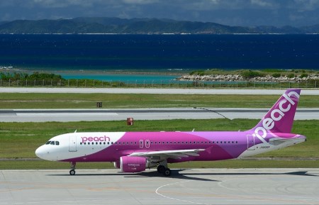PeachでGo！！泉佐野市宿泊 旅行クーポン（90,000円分）