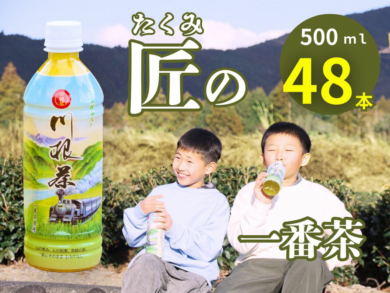 【ふるさと納税】匠厳選！高級一番茶「川根茶」ペットボトル　2ケース