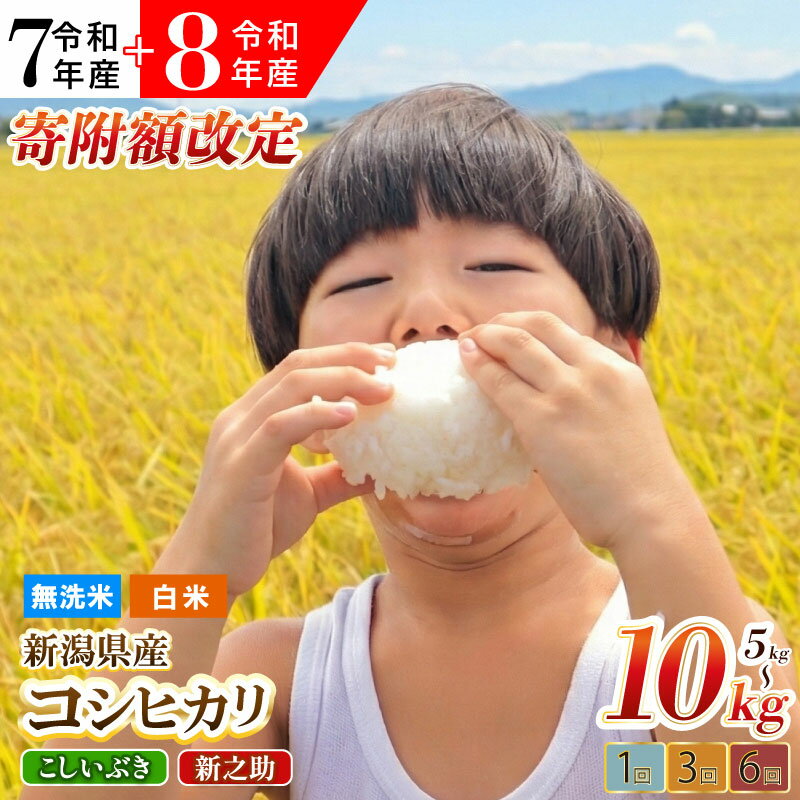 【ふるさと納税】 7年 8年 新潟県産 コシヒカリ こしいぶき 新之助 選べる 配送月 容量 4kg 5kg 10kg 20kg 単品 定期便 5kg 10kg 3回 6回 精米 無洗米 四代目 悠助 コンテスト入賞 米 新米 定期便 新発田 新潟 D71P