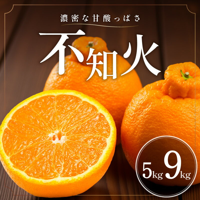 【ふるさと納税】【2027年発送先行予約品】濃密な甘酸っぱさ！ ミカファーム 不知火 5kg 9kg │ 数量限定 果物 フルーツ 柑橘 みかん 不知火 シラヌイ 食感 プチプチ ジューシー 旬 春