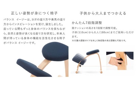 バランス イージー(カバーなし)とイージーライティングボードLのセット ショートブラック