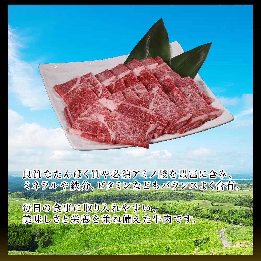 【ふるさと納税】 熊本産 あか牛 焼肉用 500g 肉 牛肉 赤身肉 あか牛焼肉 焼き肉 バーベキュー 冷凍 お取り寄せ 熊本県 水上村