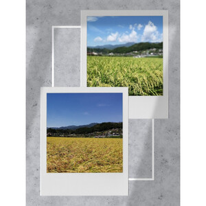 2023年産新米【南信州高森産】 コシヒカリ玄米20kg(10kg×2袋)