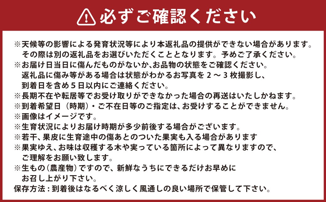 【年3回定期便】熊本おすすめフルーツ定期便D（ぶどうセット・シャインマスカット・メロン）