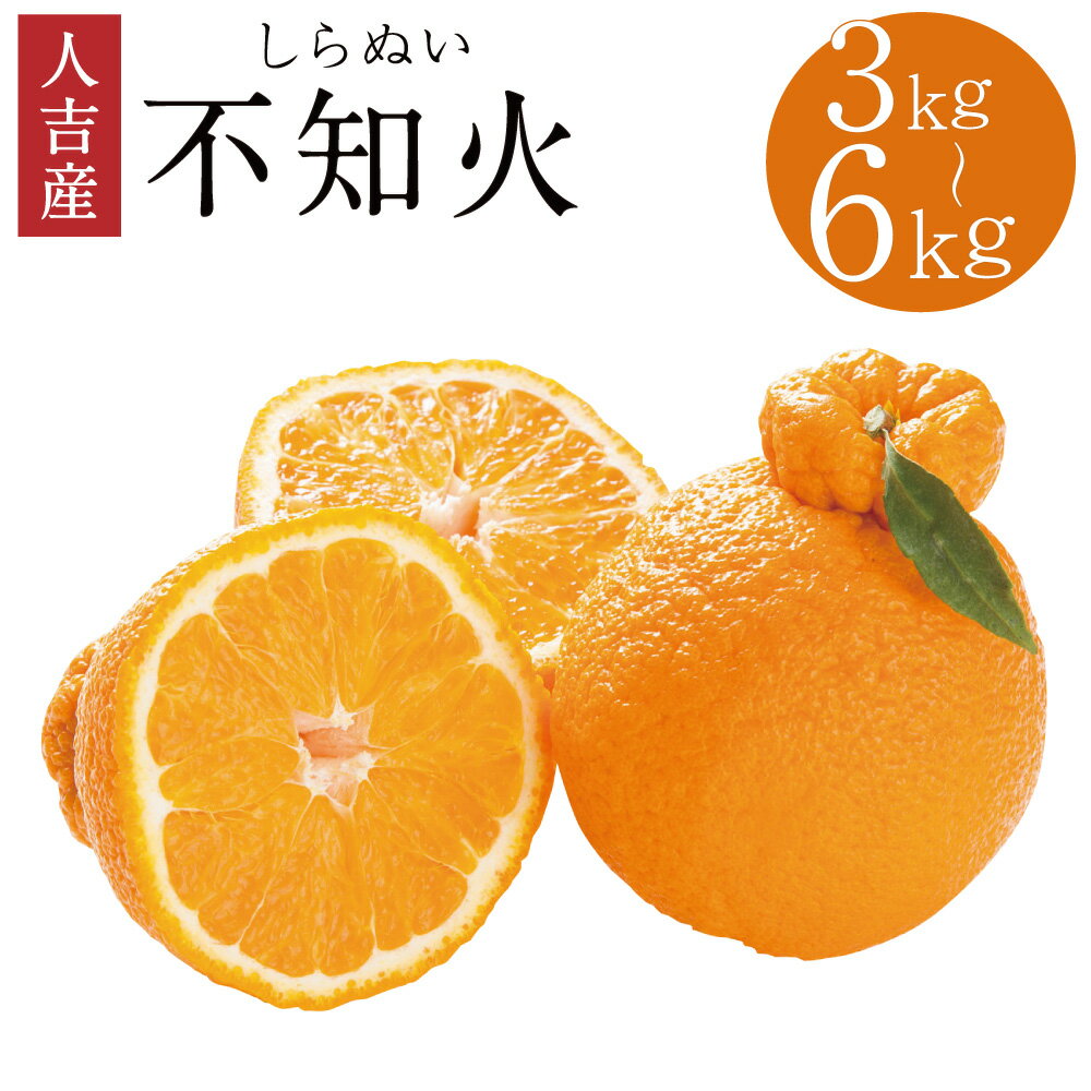 【ふるさと納税】【先行予約】 人吉産 不知火 しらぬい 約3kg ／ 約6kg 選べる内容量 柑橘類 熊本 果物 フルーツ 年内発送 ギフト 贈り物 送料無料【入金締め切りは12月11日まで】【2026年12月下旬より順次発送予定】