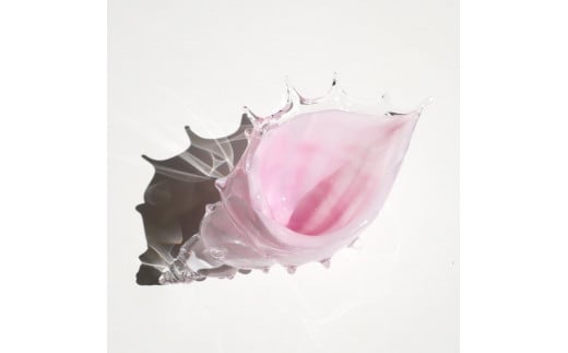 
            桜色シェル・貝殻のガラスの入れ物 | ガラス 器 貝 小物入れ インテリア 人気 おすすめ 送料無料 東京 中野区
          