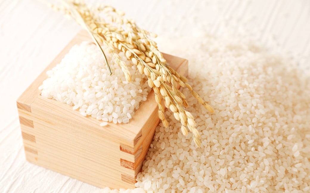 令和7年産 竹田銘水美人色選米 白丹産特別栽培米 ひとめぼれ 10kg