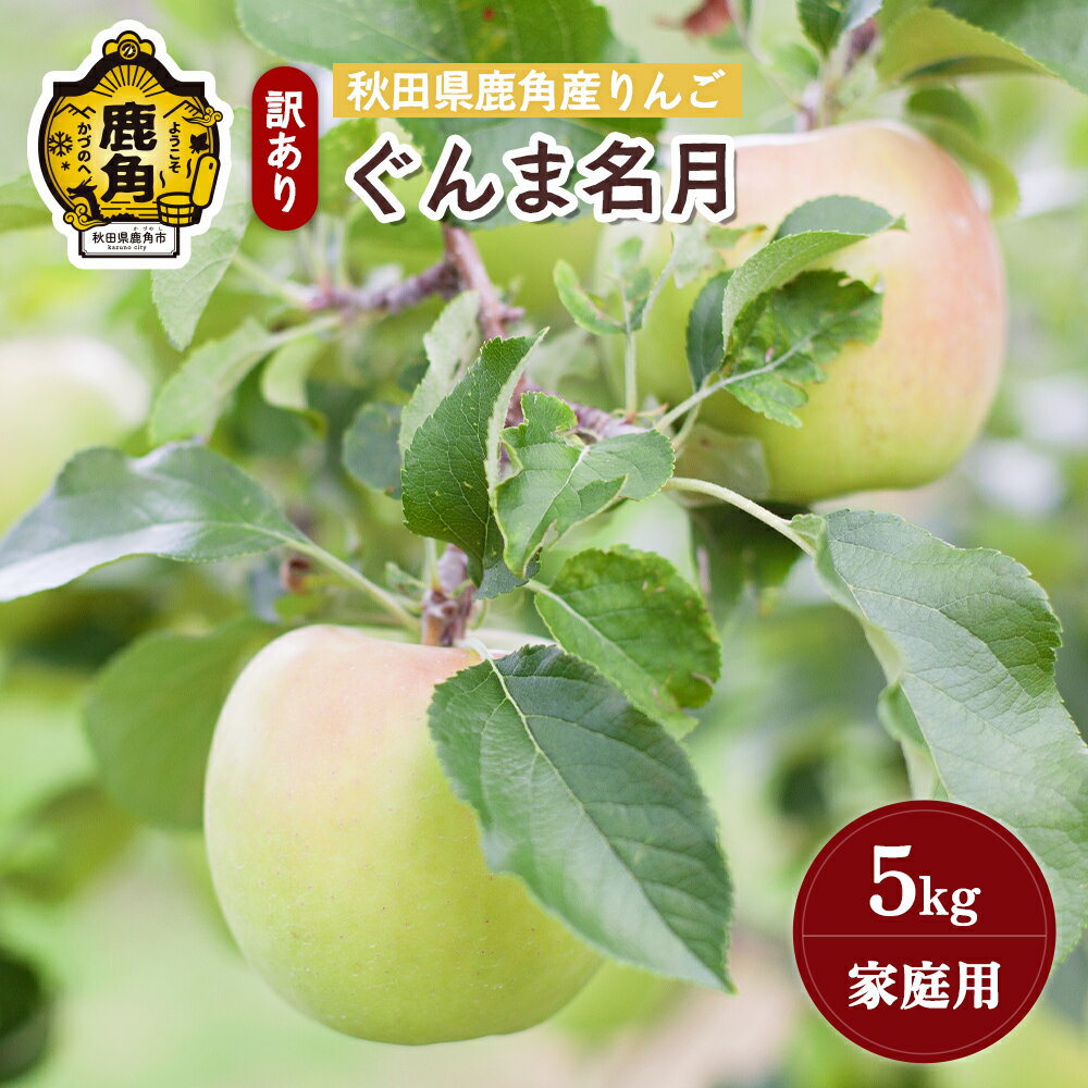 【ふるさと納税】《 先行予約 》 りんご 訳あり ぐんま名月 5kg（20〜23玉入） 鹿角りんご 家庭用 食感 果汁 リンゴ 完熟 旬 県産 りんご お中元 お歳暮 贈り物 グルメ ギフト 故郷 秋田 あきた 鹿角市 鹿角 送料無料 【山麓園】