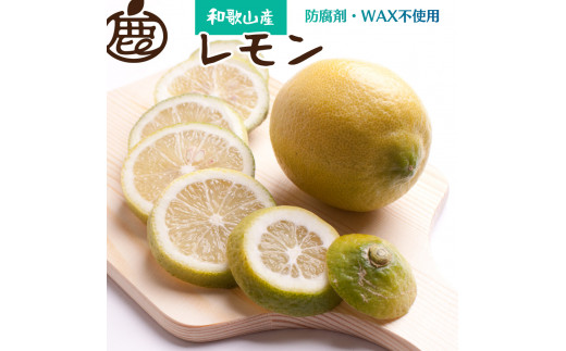 
                  厳選 黒潮 レモン 約5kg+150g（傷み補償分） 和歌山有田産 防腐剤・WAX不使用 安心の国産レモン【IKE129】【9月より発送】
                