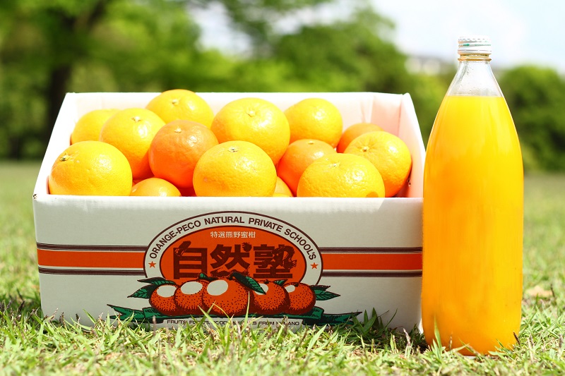自然塾 みかん ＆まるごと果汁詰合せ【１回】 果物 ジュース 柑橘【szjk0001】