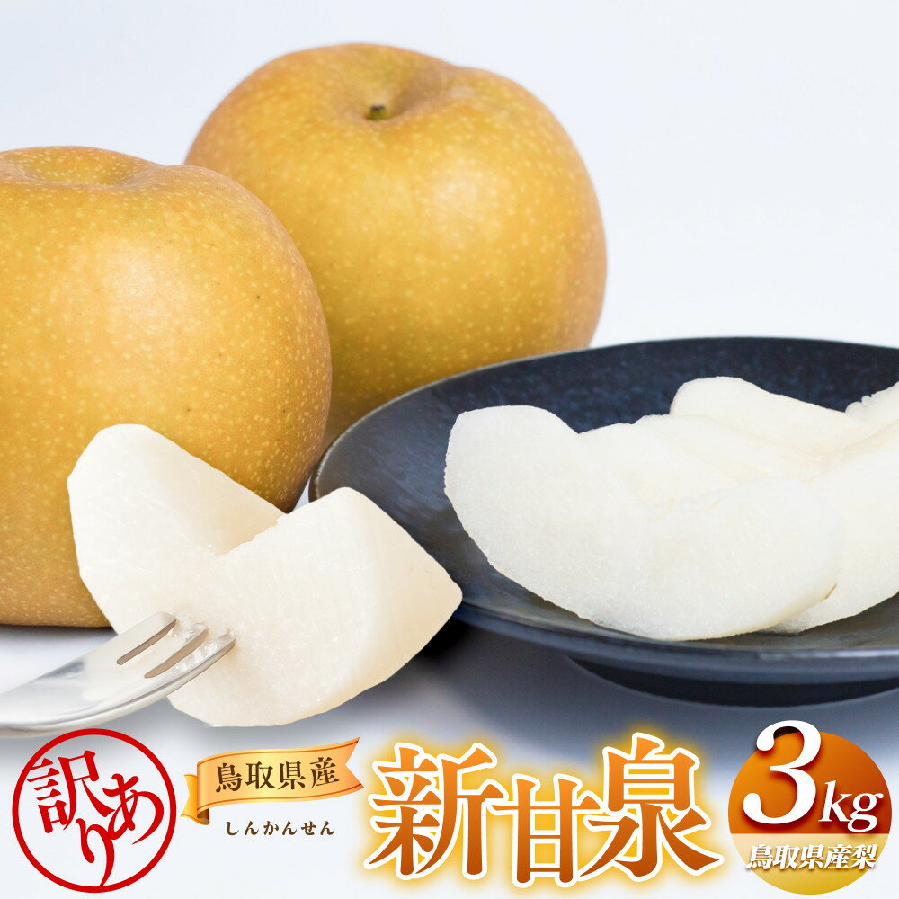 【ふるさと納税】【先行予約】【訳あり】新甘泉 3kg（梨）※8月下旬頃～9月中旬頃に順次発送 | 訳あり 梨 なし 果物 フルーツ おすすめ 人気 送料無料