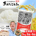 【ふるさと納税】 定期便 遠野産 あきたこまち 5kg 選べる 回数 3回 6回 令和6年産 五つ星 お米マイスター Prof. 厳選 【 コメマルシェ 河判 】米 お米 おこめ 白米 精米 ふっくら ツヤツヤ SDGs 岩手県 遠野市 国産 一等米 送料無料 3ヶ月 6ヶ月 2024年産