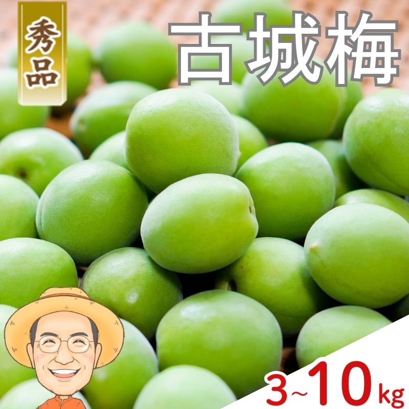 【ふるさと納税】【秀品】古城梅 約3kg 約5kg 約10kg (＋保証100g) L～Mサイズ カキエモン農園 【2026年5月下旬～6月中旬頃順次発送】 和歌山産 梅干し 梅酒 梅シロップ 果実 うめ 梅 ウメ カキエモン 農園 送料無料 なんこううめ なんこうばい なんこう梅 加工用 家庭用