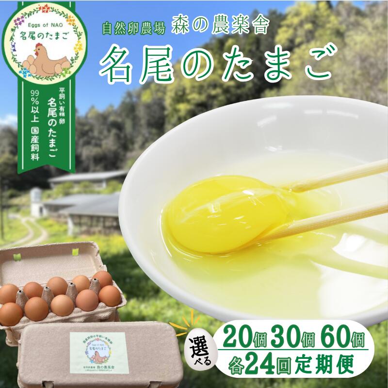 【ふるさと納税】【選べる 容量・】国産飼料の平飼い有精卵「名尾のたまご」