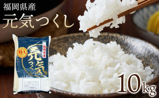【令和7年産】福岡県産ブランド米「元気つくし」白米　10kg【米 ブランド米 ブランド 白米 元気つくし 令和7年産 家庭用 お取り寄せ お土産 福岡県産 取り寄せ グルメ 福岡県 大任町 AS048】