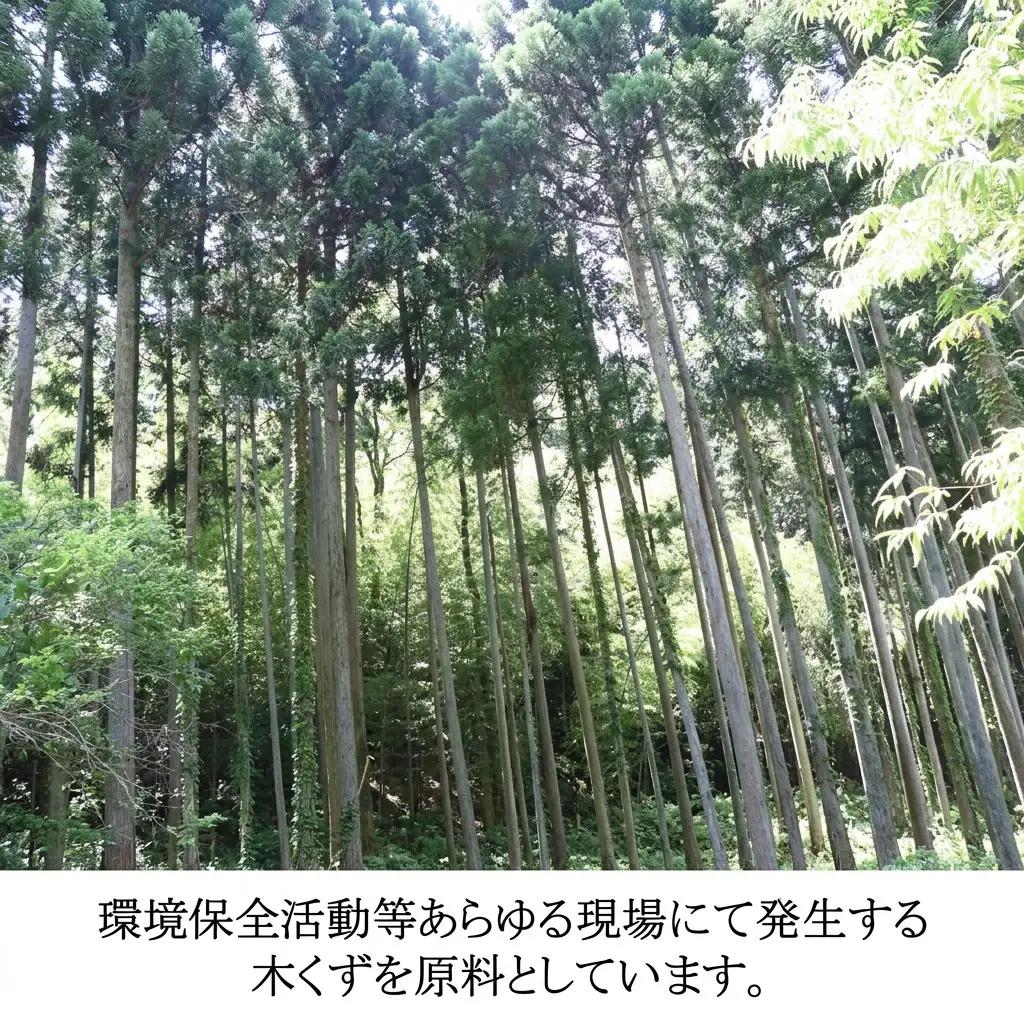 木から生まれたやさしい肌布団 140cm x 190cm 沐布（もくふ）使用