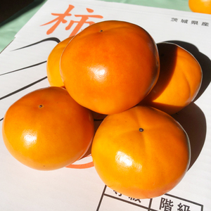 【2026年10月下旬より順次発送】【数量限定】富有柿 L 16玉【茨城県共通返礼品/石岡市】（IU-9）