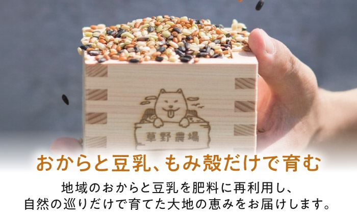 甘酒 糀甘酒あまざけ 甘ざけ 麹甘酒 あまざけ 米麹 甘酒の素 アレンジ ノンアルコール 人気 おすすめ 滋賀県 長浜市
