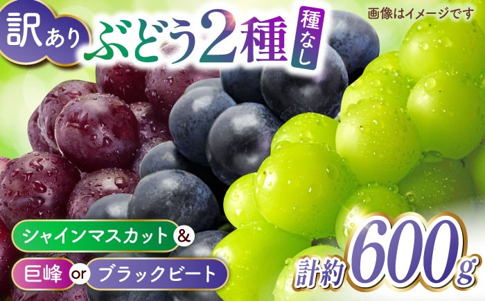 
            【訳あり】こば農園 種なし ぶどう 2種食べ比べセット 計約600g （ シャインマスカット & 巨峰 or ブラックビート）【合同会社 こば農園】  1万円以下 10000円以下 [ZFO004]
          