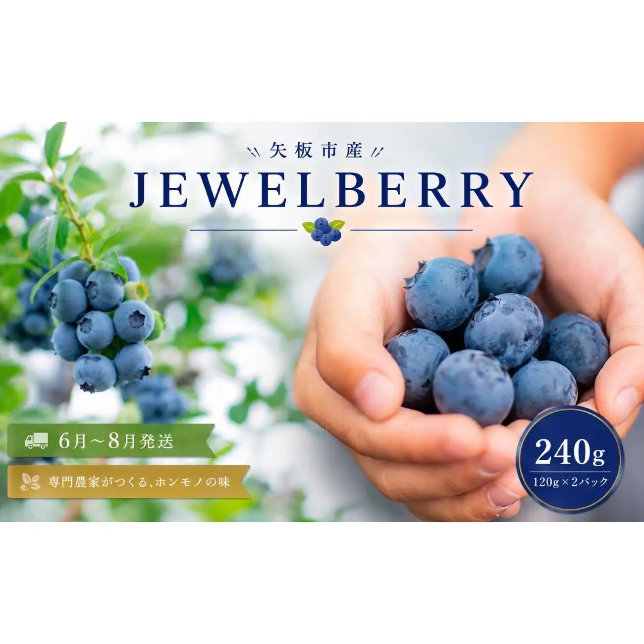 矢板市産 完熟 ブルーベリー　[JEWELBERRY] 240g（120g×2パック） 【2026年6月～8月発送】 栃木県 矢板市