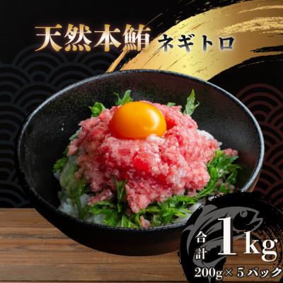 ふるさと納税 船橋市 天然本鮪入 まぐろのたたき 200g×5袋 海鮮丼・ネギトロ丼向け 鮪の旨みを加えたたたき 小分け