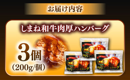 【島根のハンバーグといえばコレ!】しまね和牛肉厚ハンバーグ200g×3個 ハンバーグ しまね和牛 小分け 肉 肉厚 和牛 簡単調理 湯煎 人気 お試し 島根県雲南市/株式会社 みやげ山海[AIDZ00