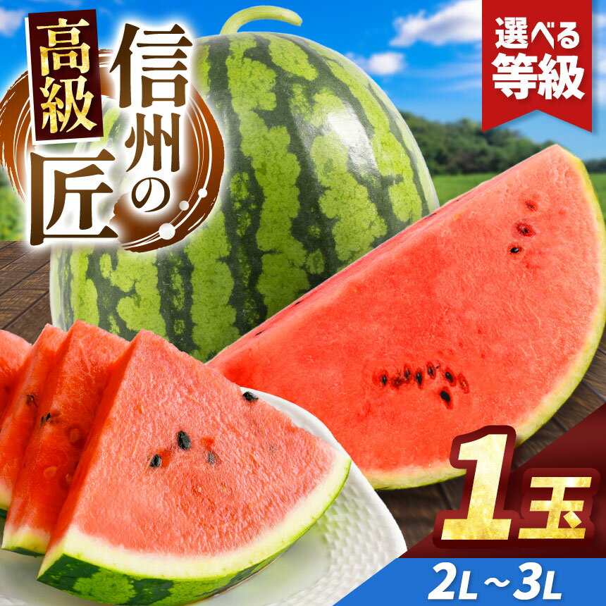 【ふるさと納税】先行予約【選べる】信州波田産 高級スイカ！信州の匠 2L～3Lサイズ 1玉｜ふるさと納税 長野県 信州 松本 果物 フルーツ すいか スイカ 西瓜 特選 贈答 季節限定 甘い くだもの ふるーつ